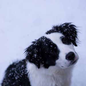 Meet your Posher, Margaret tracy